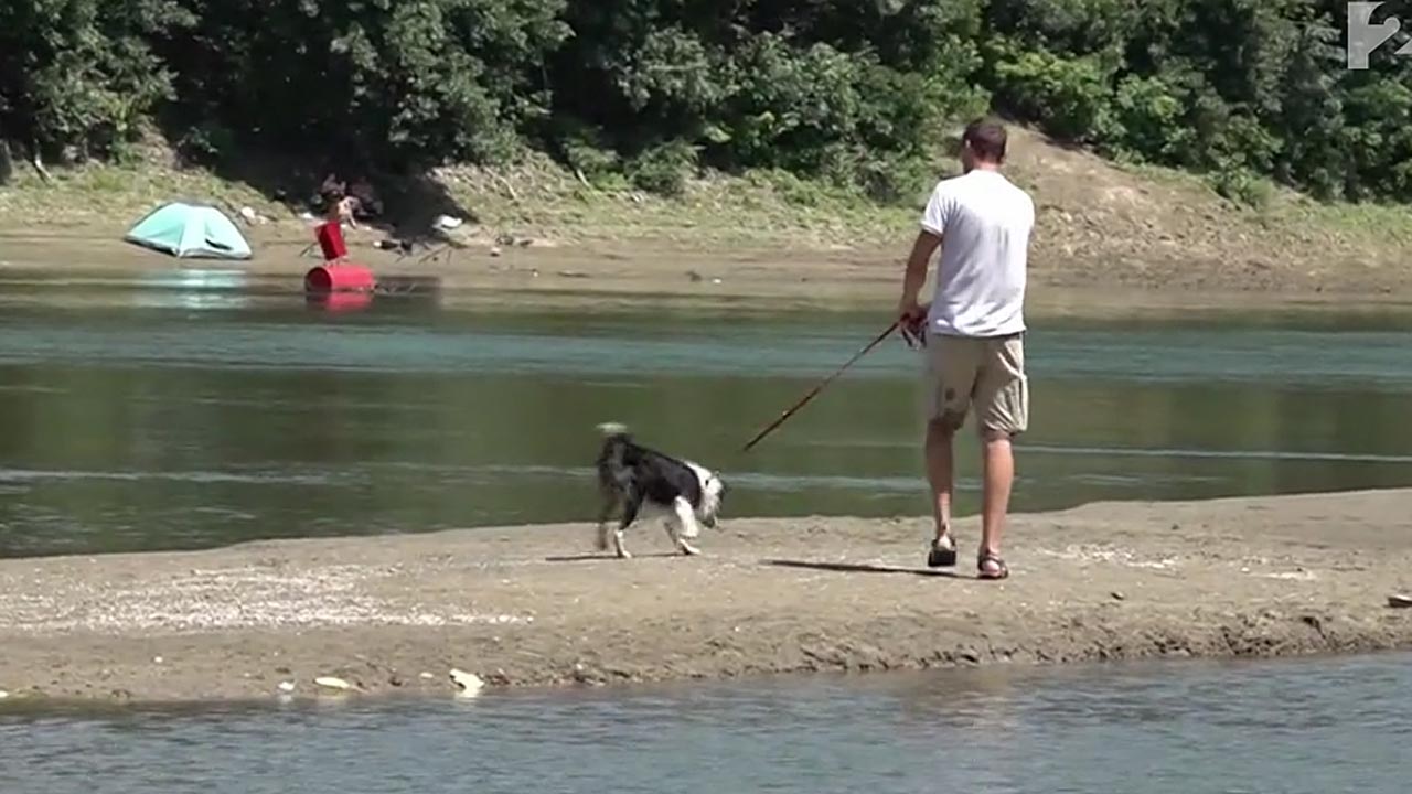 Tisza sziget